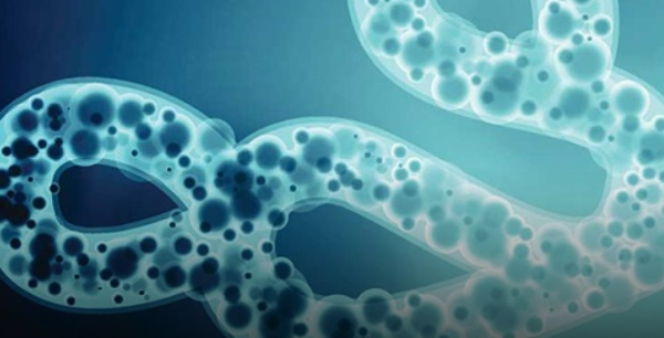 Ebola suspected in Kerala.