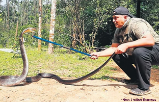 Snake-catcher dies.