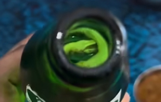 Snake in drink